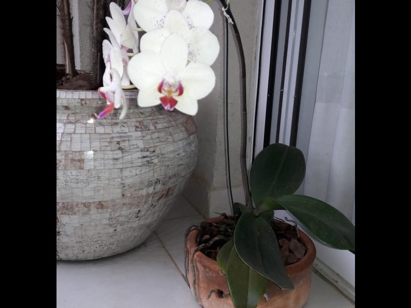 imóvel com 65m² - Sumarezinho - Ribeirão Preto