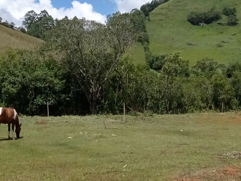 imóvel com 250m² - Centro - Bocaina de Minas