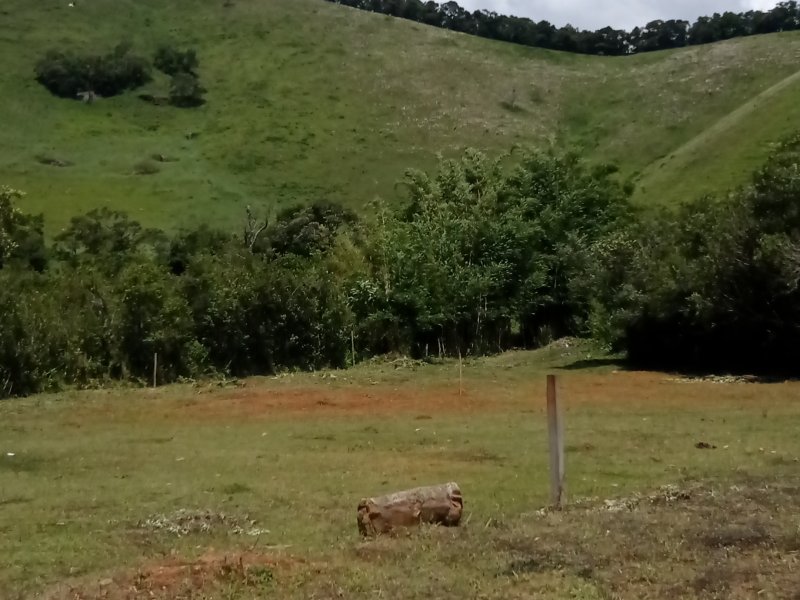 imóvel com 250m² - Centro - Bocaina de Minas