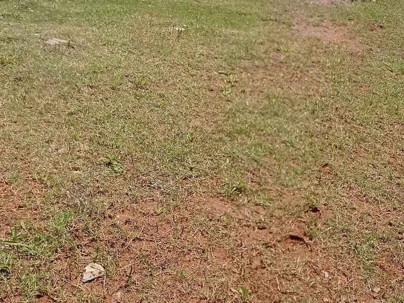 imóvel com 250m² - Centro - Bocaina de Minas