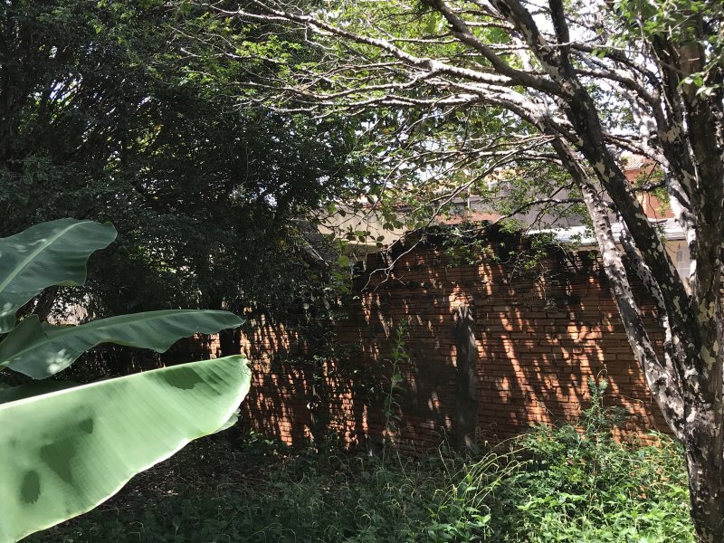 Terreno à venda Vila Santa Terezinha com 500m² e  quartos por R$ 302.000 - 1041475063-acc90cc6-08ec-4050-b592-aa0a08b0459d.jpeg