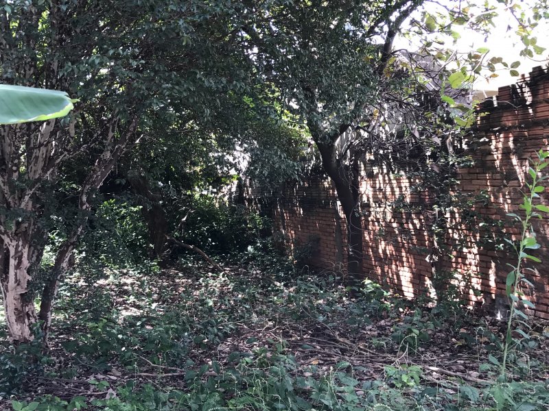 Terreno à venda Vila Santa Terezinha com 500m² e  quartos por R$ 302.000 - 1217274110-a5f5fd76-38b2-4745-9a44-36dca006cd2c.jpeg