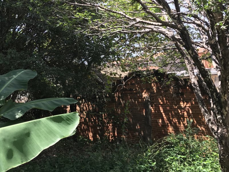 Terreno à venda Vila Santa Terezinha com 500m² e  quartos por R$ 302.000 - 1478084112-0769ca03-7cea-4872-a97c-53d4c2b96a0f.jpeg