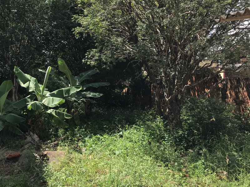 Terreno à venda Vila Santa Terezinha com 500m² e  quartos por R$ 302.000 - 1487383024-53e26e2e-7393-4776-aef9-7d6d5622a563.jpeg