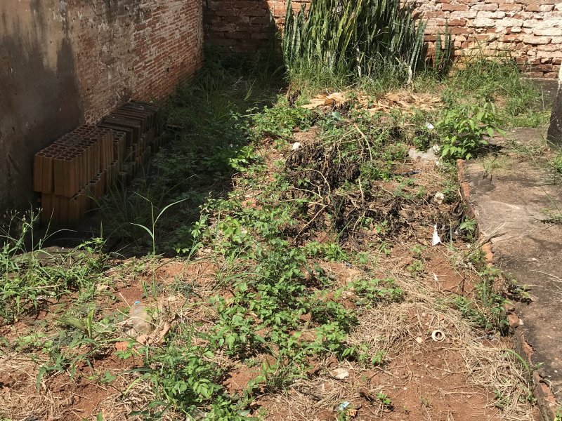 Terreno à venda Vila Santa Terezinha com 500m² e  quartos por R$ 302.000 - 1834740931-d713a439-0f30-4f28-96d0-9511fda318af.jpeg