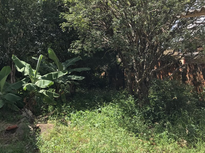 Terreno à venda Vila Santa Terezinha com 500m² e  quartos por R$ 302.000 - 1960816112-358b2837-f1e8-4e68-a6f8-91e671ec3c58.jpeg