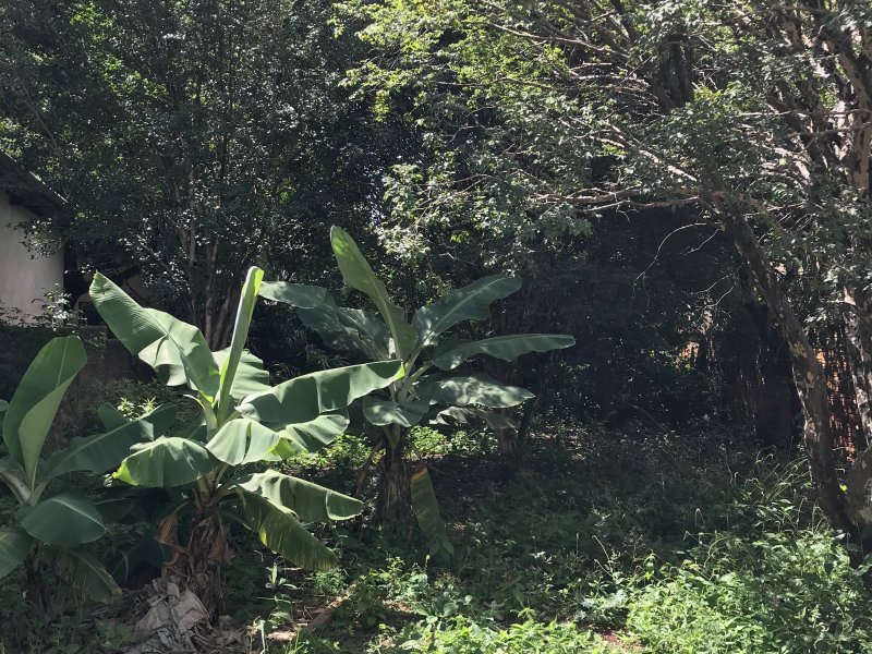 Terreno à venda Vila Santa Terezinha com 500m² e  quartos por R$ 302.000 - 21952118-1f696bba-5a09-4f72-a301-092e4471a205.jpeg