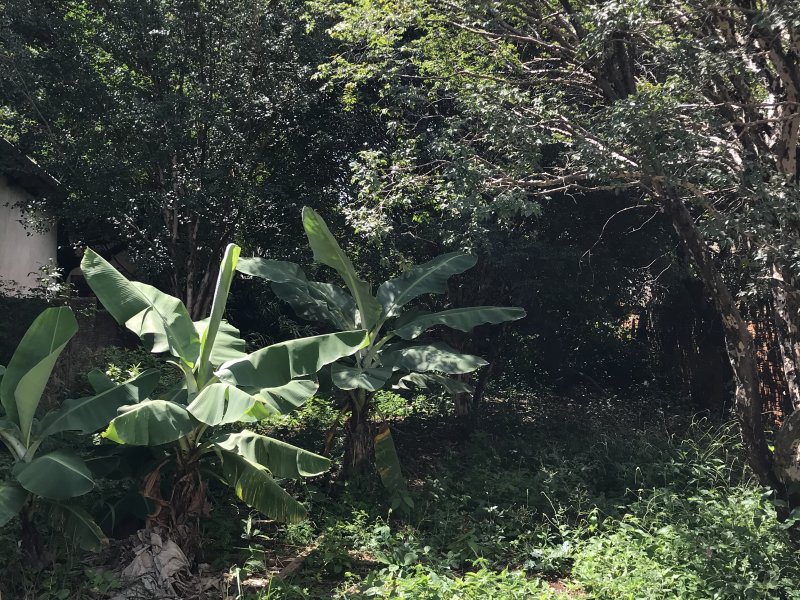Terreno à venda Vila Santa Terezinha com 500m² e  quartos por R$ 302.000 - 978123908-7a850b15-ae94-4bd0-8c07-09073384c4ed.jpeg
