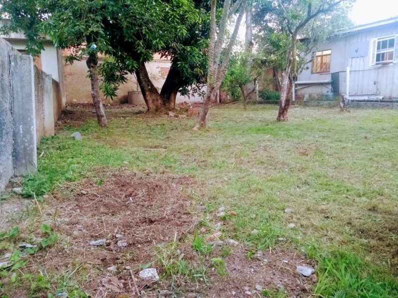 Terreno à venda São José com 330m² e  quartos por R$ 249.000 - 1486417147-whatsapp-image-2020-11-24-at-19.jpeg