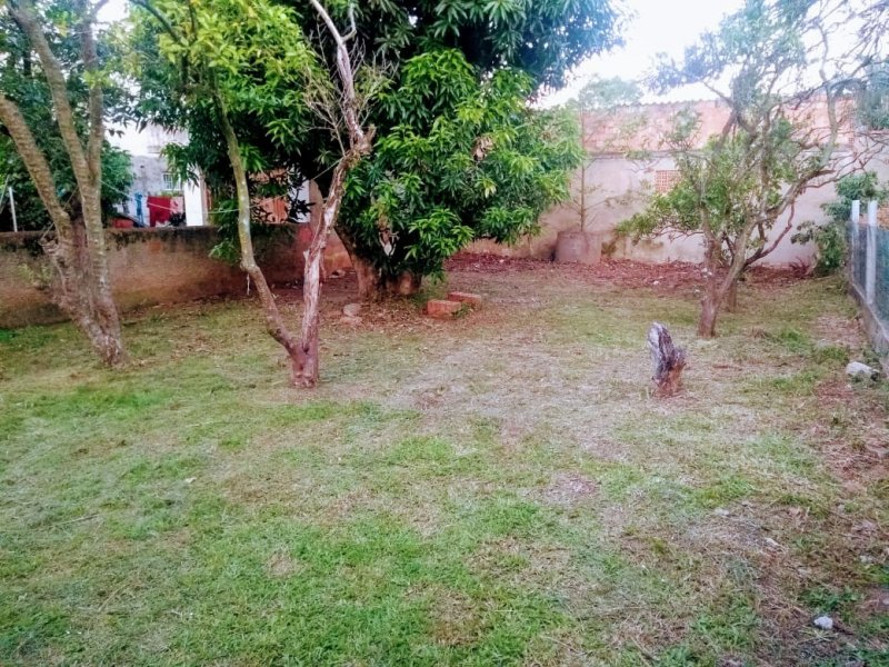 Terreno à venda São José com 330m² e  quartos por R$ 249.000 - 650102068-whatsapp-image-2020-11-24-at-19.jpeg
