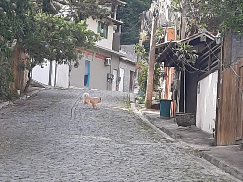 Apartamento à venda manguinhos com 75m² e 2 quartos por R$ 370.000 - 297140797-9483ddb2-ed6f-4859-9e78-92403af52d54.jpg