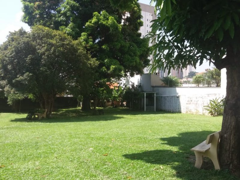 Casa à venda Jardim Sao Domingos com 1584m² e 5 quartos por R$ 5.000.000 - 1348155301-whatsapp-image-2021-03-09-at-11.jpeg