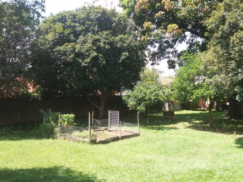 Casa à venda Jardim Sao Domingos com 1584m² e 5 quartos por R$ 5.000.000 - 1809521844-whatsapp-image-2021-03-09-at-11.jpeg