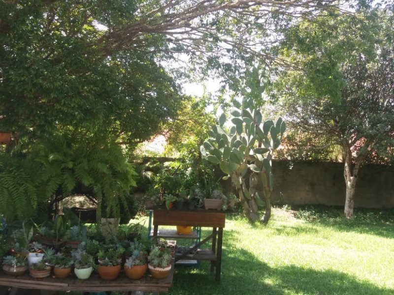 Casa à venda Jardim Sao Domingos com 1584m² e 5 quartos por R$ 5.000.000 - 767938768-whatsapp-image-2021-03-09-at-11.jpeg