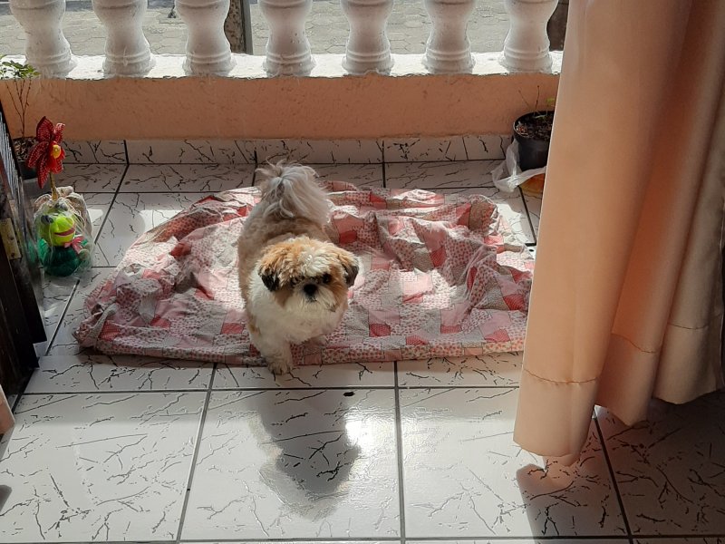 Casa de condomínio à venda Belas Artes com 57m² e 2 quartos por R$ 175.000 - 704648021-20200708-123418.jpg