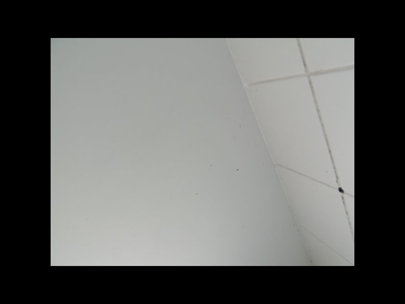 Apartamento à venda Jardim Santo André com 53m² e 2 quartos por R$ 183.000 - 1037850788-m-p2111561.jpg