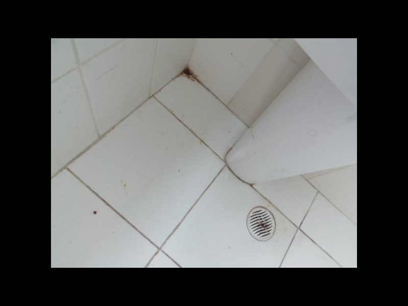 Apartamento à venda Jardim Santo André com 53m² e 2 quartos por R$ 183.000 - 115147777-m-p2111706.jpg