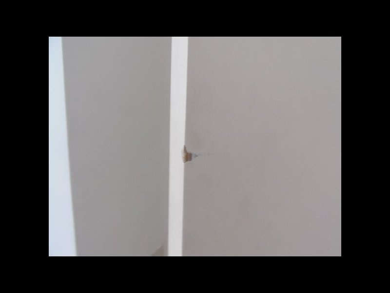 Apartamento à venda Jardim Santo André com 53m² e 2 quartos por R$ 183.000 - 1846709943-m-p2111540.jpg