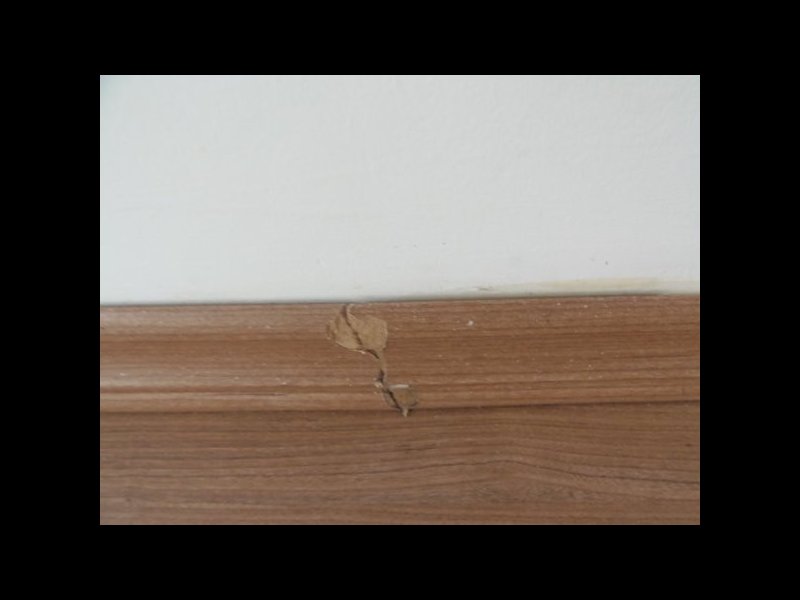 Apartamento à venda Jardim Santo André com 53m² e 2 quartos por R$ 183.000 - 225568114-m-p2111618.jpg