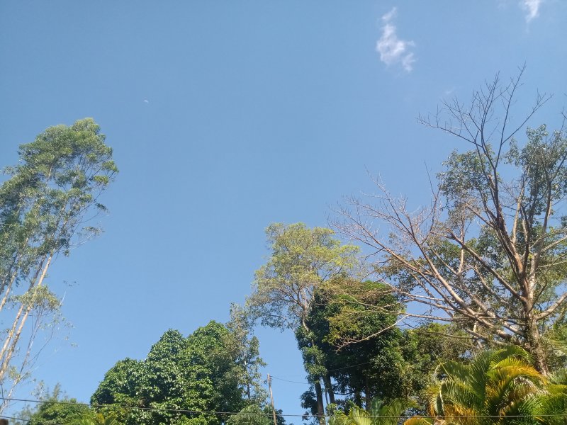 Terreno à venda Barra do Sana com 300m² e  quartos por R$ 70.000 - 898825496-img-20201220-145303072.jpg