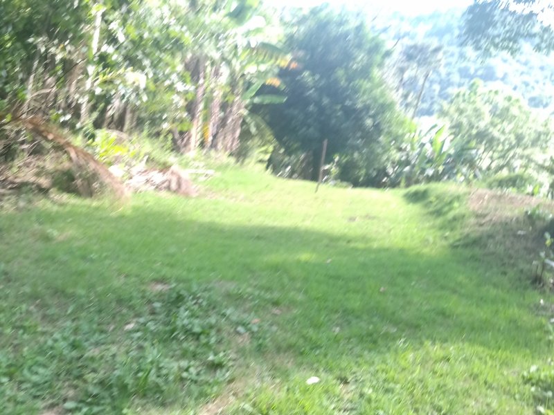 Terreno à venda Barra do Sana com 300m² e  quartos por R$ 70.000 - 973315331-img-20201220-150130478.jpg