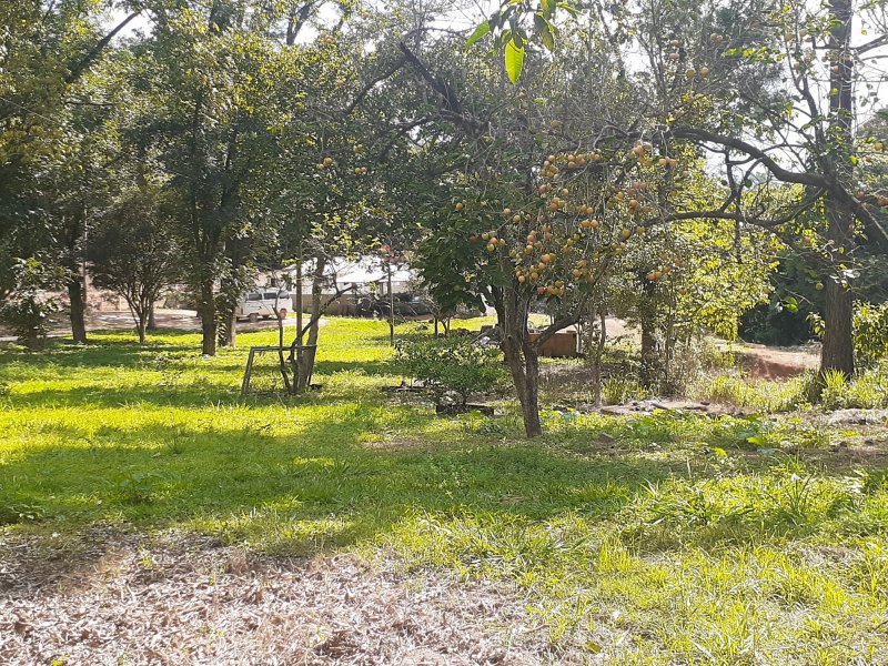 Chácara à venda Outeiro das Paineiras (Botujuru) com 5m² e 5 quartos por R$ 600.000 - 2016262830-20210314-145549.jpg