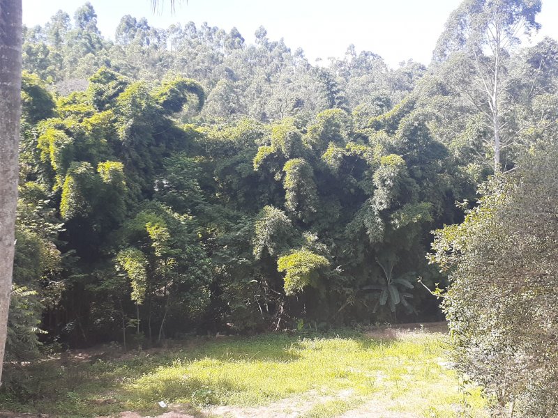 Chácara à venda Outeiro das Paineiras (Botujuru) com 5m² e 5 quartos por R$ 600.000 - 878722381-20210314-144948.jpg