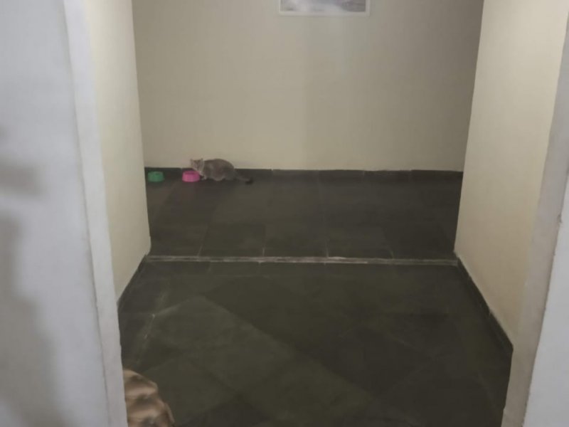 Casa à venda Bangu com 25m² e 4 quartos por R$ 400.000 - 1171974850-whatsapp-image-2021-01-21-at-12.jpeg
