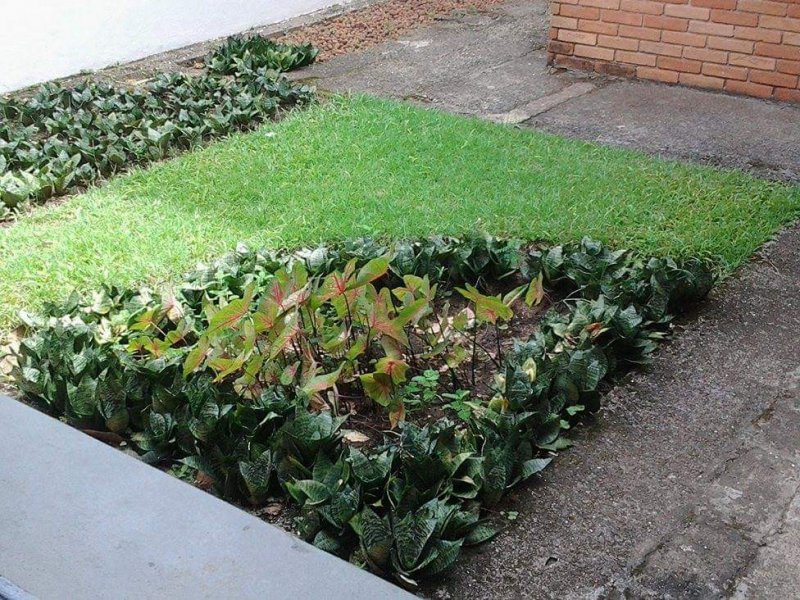 Casa à venda Jardim das Palmeiras  com 790m² e 6 quartos por R$ 590.000 - 1687270081-received-10214741836805297.jpeg