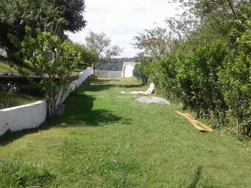 Chácara à venda Jardim Paula com 13730m² e 4 quartos por R$ 13.700.000 - 913049555-f958ff90-5247-4c91-8443-fe4ce2d2efb3.jpeg