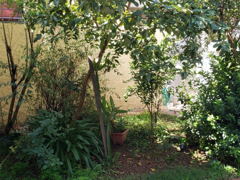 Casa à venda Parque Sao George com 160m² e 3 quartos por R$ 560.000 - 1378465830-whatsapp-image-2021-03-03-at-16.jpeg