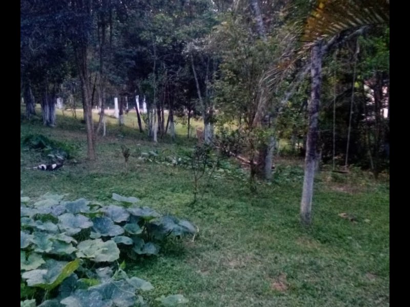 imóvel com 5270m² - Estancia Piratininga - Suzano