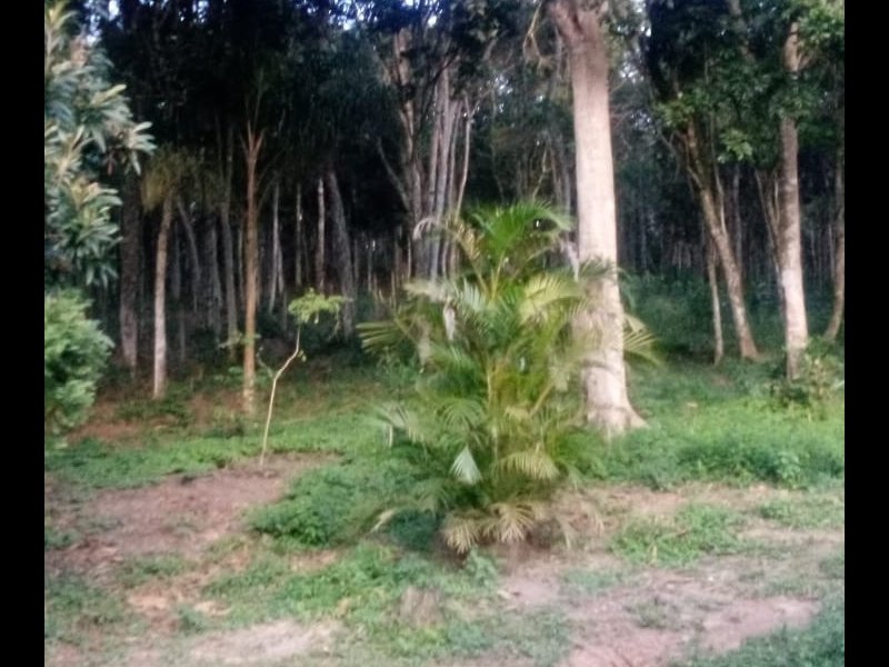 imóvel com 5270m² - Estancia Piratininga - Suzano