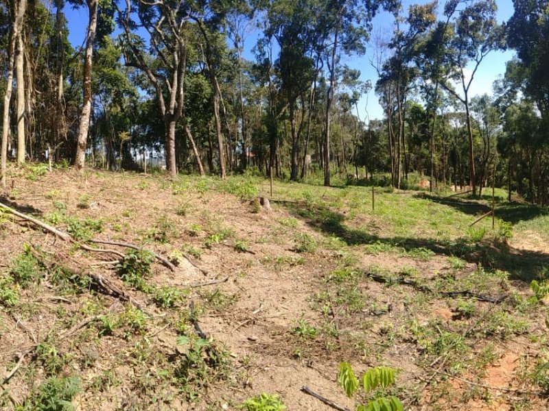 Terreno à venda Mailasqui com 200m² e 1 quarto por R$ 30.000 - 1263678921-whatsapp-image-2021-03-16-at-16.jpeg