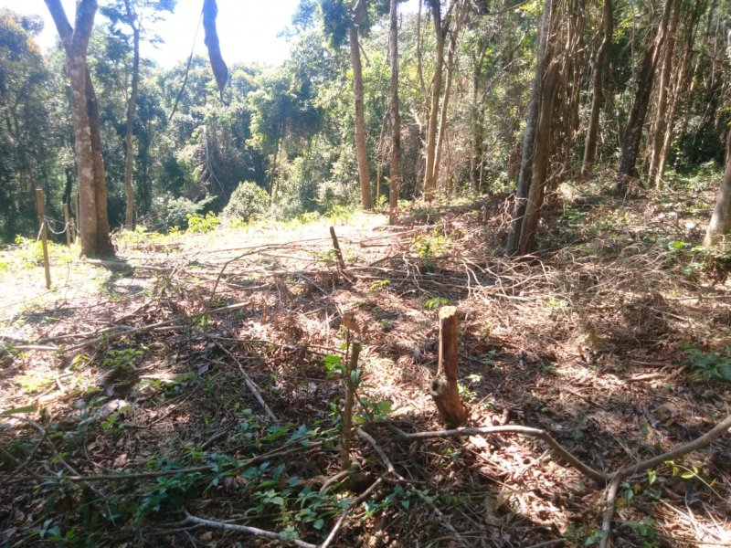 Terreno à venda Mailasqui com 200m² e 1 quarto por R$ 30.000 - 1579803937-whatsapp-image-2021-03-16-at-16.jpeg