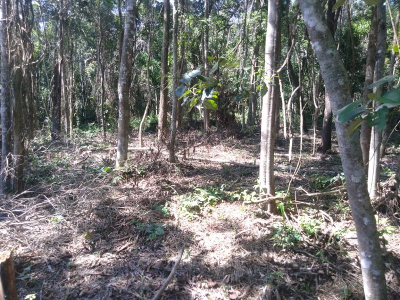 Terreno à venda Mailasqui com 200m² e 1 quarto por R$ 30.000 - 1839545810-whatsapp-image-2021-03-16-at-16.jpeg