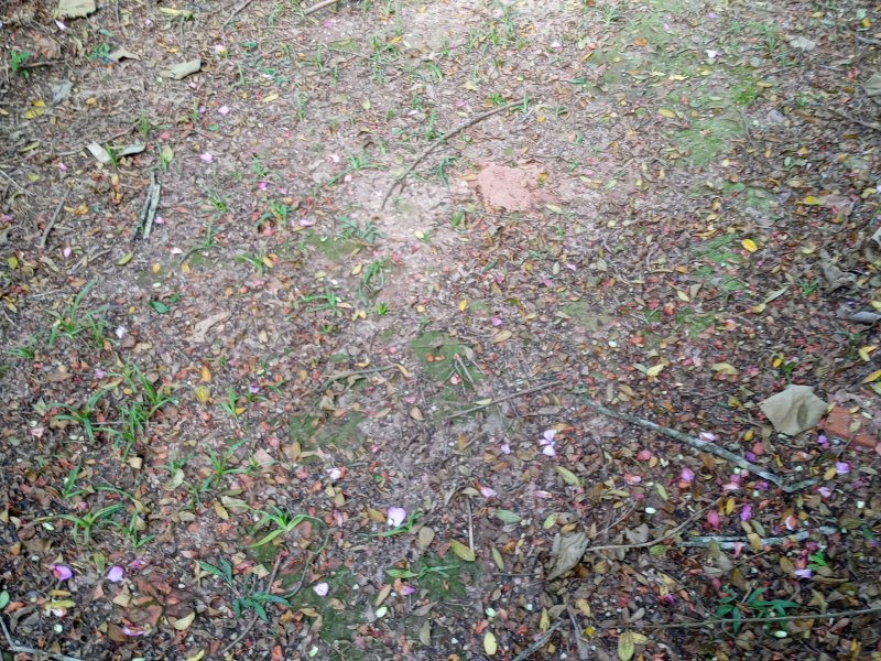 Terreno à venda Cidade Recreio da Borda do Campo com 508m² e  quartos por R$ 61.100 - 2036479751-20210315-155319.jpg