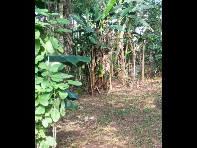 Terreno à venda Cidade Recreio da Borda do Campo com 508m² e  quartos por R$ 61.100 - 818205874-img-20210315-wa0179.jpg