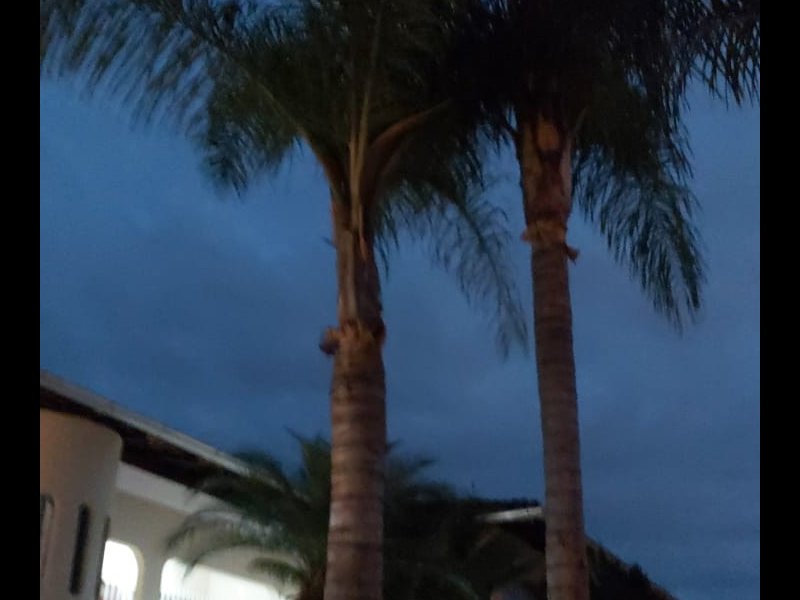 Casa à venda Itoupava Norte com 230m² e 3 quartos por R$ 850.000 - 637650694-img-20210313-wa0011.jpg