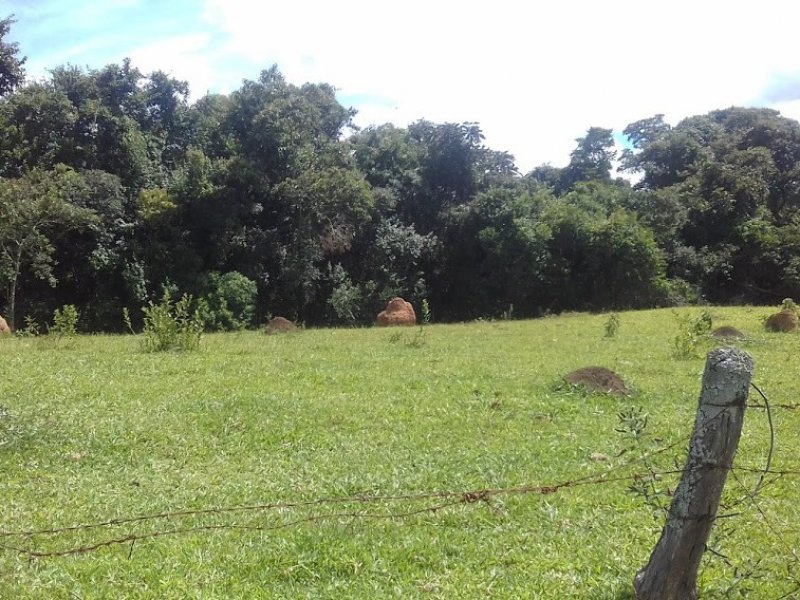 Sítio à venda Campos Elíseos com 217800m² e 1 quarto por R$ 1.700.000 - 1299687057-20210215-141849.jpg