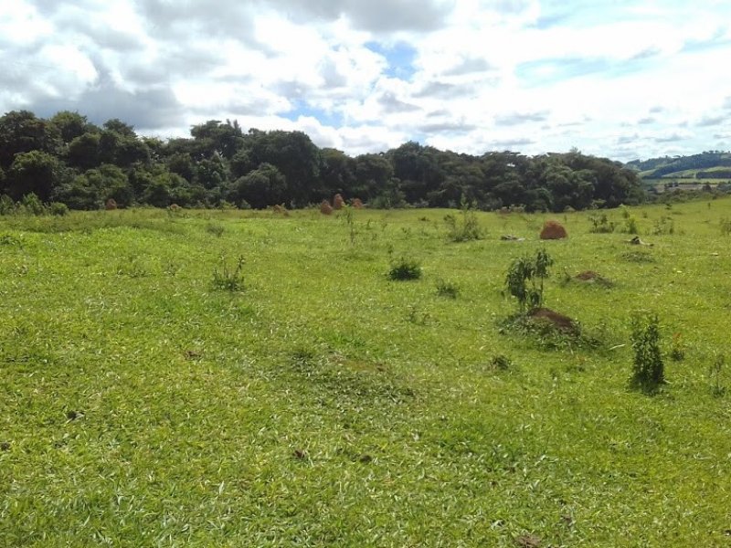 Sítio à venda Campos Elíseos com 217800m² e 1 quarto por R$ 1.700.000 - 1406467152-20210215-143119.jpg