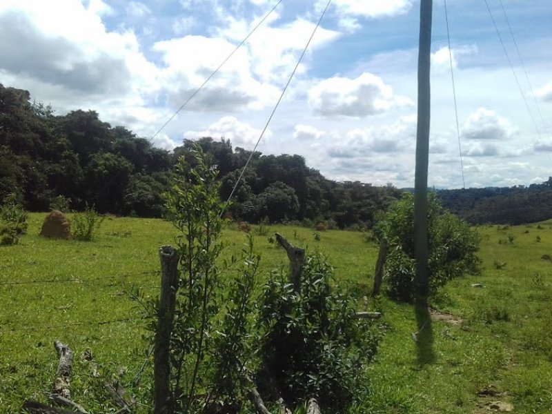 Sítio à venda Campos Elíseos com 217800m² e 1 quarto por R$ 1.700.000 - 1556912923-20210215-141856.jpg