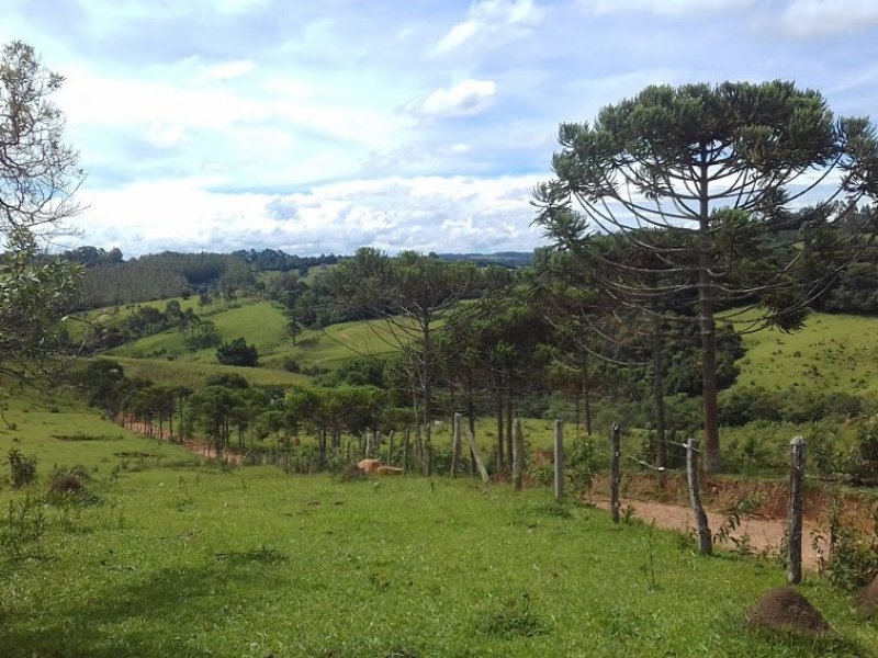 Sítio à venda Campos Elíseos com 217800m² e 1 quarto por R$ 1.700.000 - 2140904962-20210215-143215.jpg