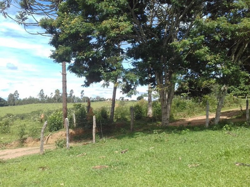 Sítio à venda Campos Elíseos com 217800m² e 1 quarto por R$ 1.700.000 - 22186000-20210215-143154.jpg