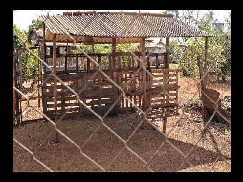 Chácara à venda Lago Oeste com 20000m² e 3 quartos por R$ 750.000 - 495556203-img-20210310-wa0020.jpg