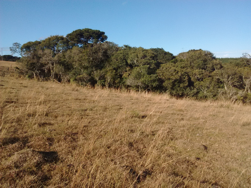 Sítio à venda Tributo com 40000m² e 1 quarto por R$ 540.000 - 1523804983-img-20160614-153859712.jpg