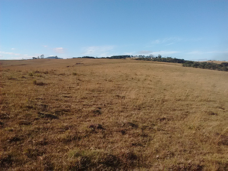 Sítio à venda Tributo com 40000m² e 1 quarto por R$ 540.000 - 1933412695-img-20160614-151523664.jpg