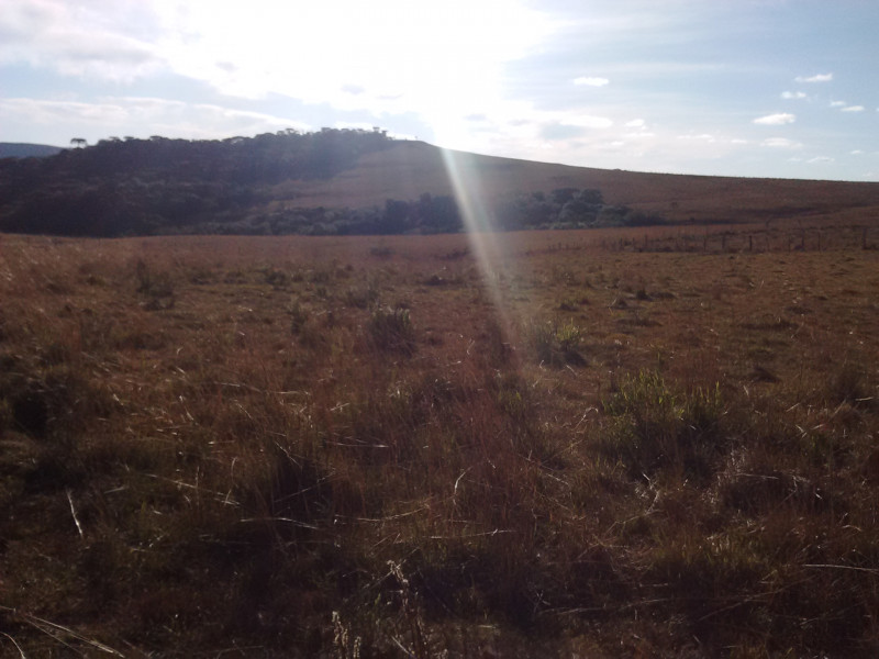 Sítio à venda Tributo com 40000m² e 1 quarto por R$ 540.000 - 2026509999-img-20160614-154027122.jpg