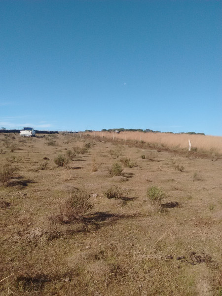 Sítio à venda Tributo com 40000m² e 1 quarto por R$ 540.000 - 915706224-img-20160614-150714551.jpg