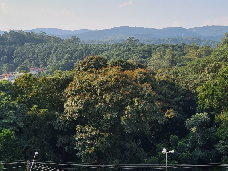 Apartamento à venda Vila Nova Cachoeirinha com 49m² e 2 quartos por R$ 260.000 - 1228871427-20210313-163854.jpg